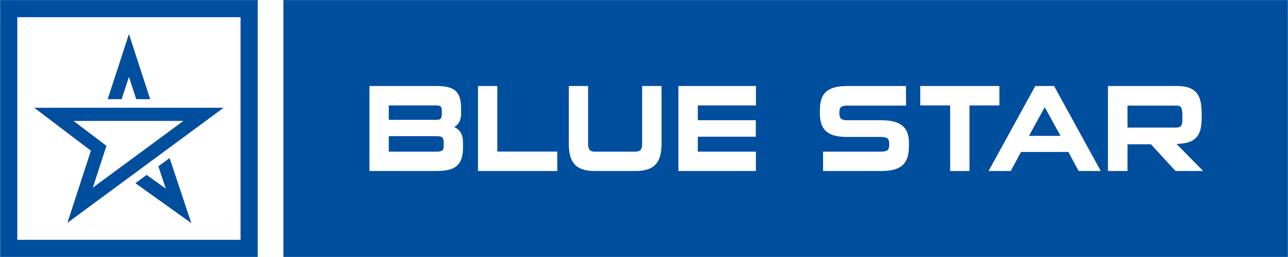 Blue Star Logo